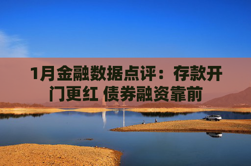 1月金融数据点评：存款开门更红 债券融资靠前