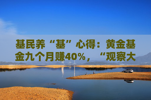 基民养“基”心得：黄金基金九个月赚40%，“观察大佬两年才敢跟投”