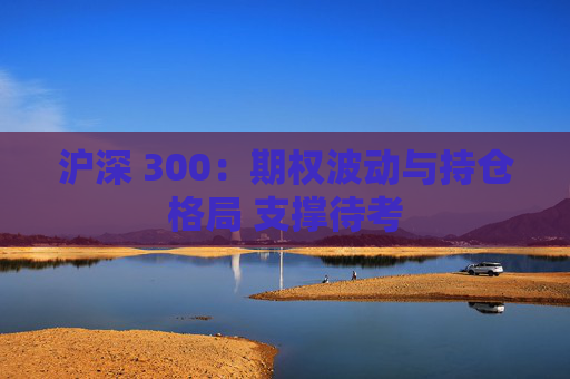 沪深 300:期权波动与持仓格局 支撑待考