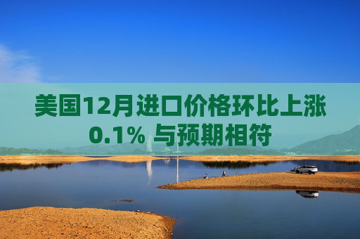 美国12月进口价格环比上涨0.1% 与预期相符