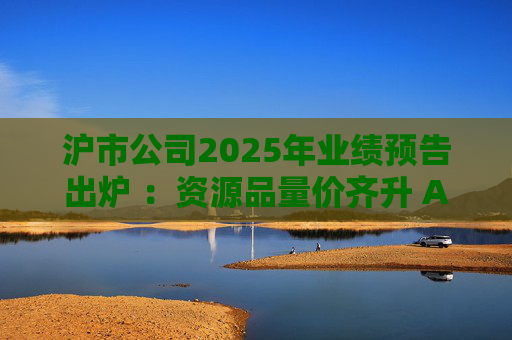 沪市公司2025年业绩预告出炉 ：资源品量价齐升 AI链景气延续