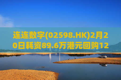 连连数字(02598.HK)2月20日耗资89.6万港元回购12.3万股