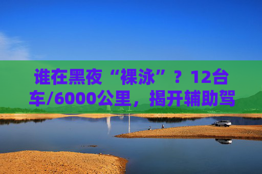 谁在黑夜“裸泳”？12台车/6000公里，揭开辅助驾驶的夜盲真相  第1张