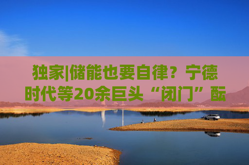 独家|储能也要自律?宁德时代等20余巨头“闭门”酝酿倡议