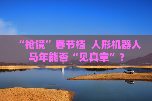 “抢镜”春节档  人形机器人马年能否“见真章”？