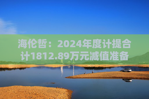 海伦哲：2024年度计提合计1812.89万元减值准备  第1张