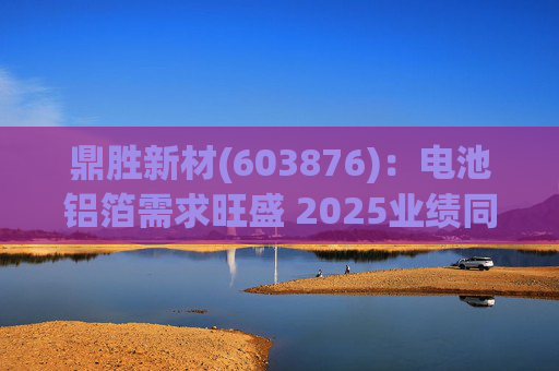 鼎胜新材(603876)：电池铝箔需求旺盛 2025业绩同比高增