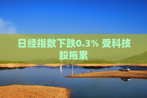 日经指数下跌0.3% 受科技股拖累  第1张