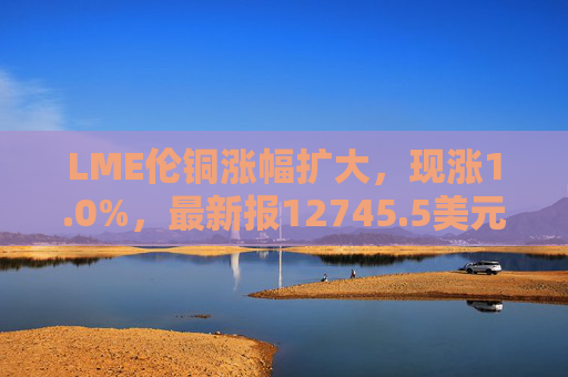 LME伦铜涨幅扩大，现涨1.0%，最新报12745.5美元/吨