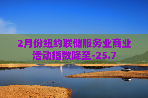 2月份纽约联储服务业商业活动指数降至-25.7