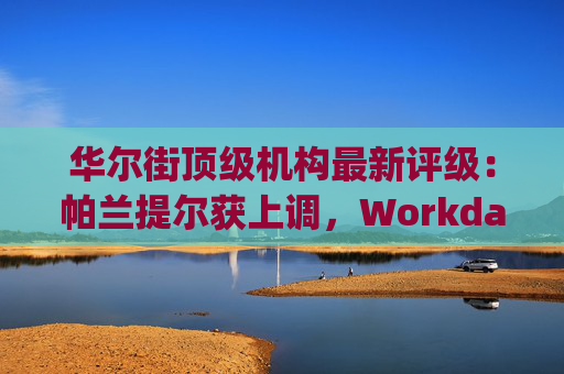 华尔街顶级机构最新评级：帕兰提尔获上调，Workday遭下调