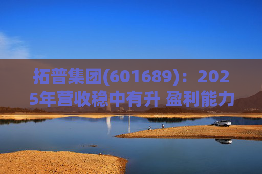 拓普集团(601689)：2025年营收稳中有升 盈利能力短期承压