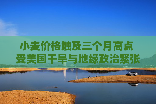 小麦价格触及三个月高点 受美国干旱与地缘政治紧张局势推动