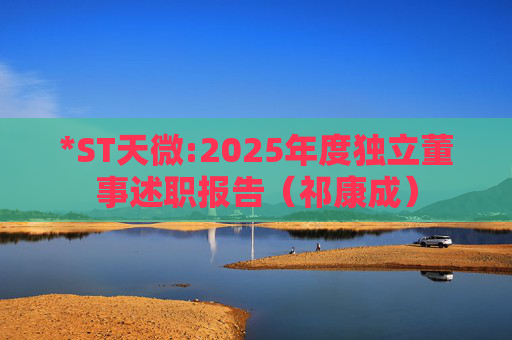 *ST天微:2025年度独立董事述职报告（祁康成）