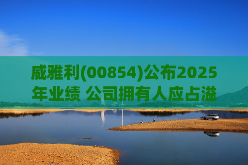 威雅利(00854)公布2025年业绩 公司拥有人应占溢利5095.8万港元