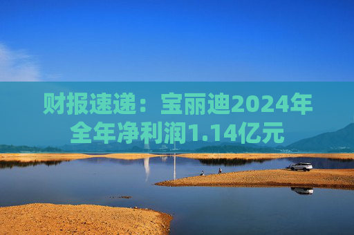 财报速递：宝丽迪2024年全年净利润1.14亿元  第1张