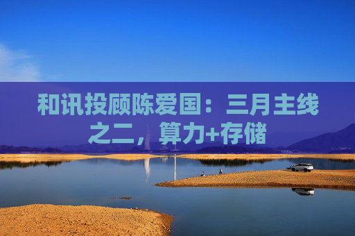 和讯投顾陈爱国：三月主线之二，算力+存储  第1张