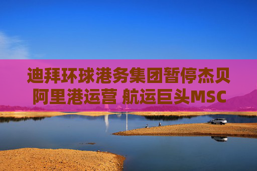 迪拜环球港务集团暂停杰贝阿里港运营 航运巨头MSC停止中东航线预订