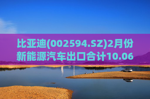比亚迪(002594.SZ)2月份新能源汽车出口合计10.06万辆  第1张