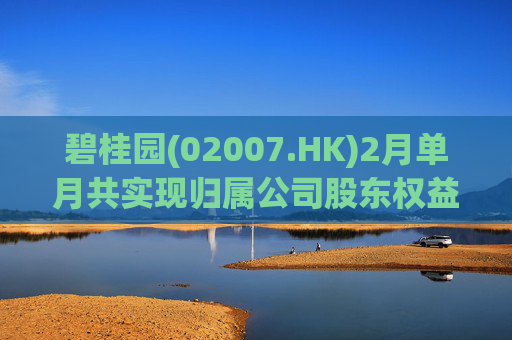 碧桂园(02007.HK)2月单月共实现归属公司股东权益合同销售金额约22.3亿元