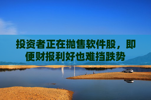 投资者正在抛售软件股，即便财报利好也难挡跌势