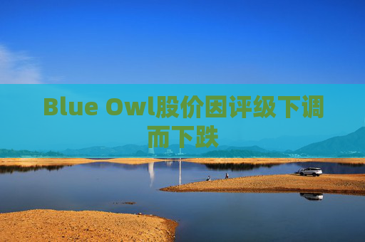 Blue Owl股价因评级下调而下跌