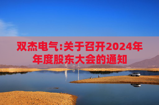 双杰电气:关于召开2024年年度股东大会的通知