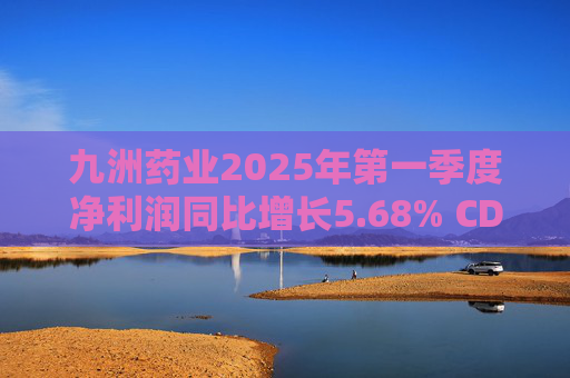 九洲药业2025年第一季度净利润同比增长5.68% CDMO业务稳步提升  第1张