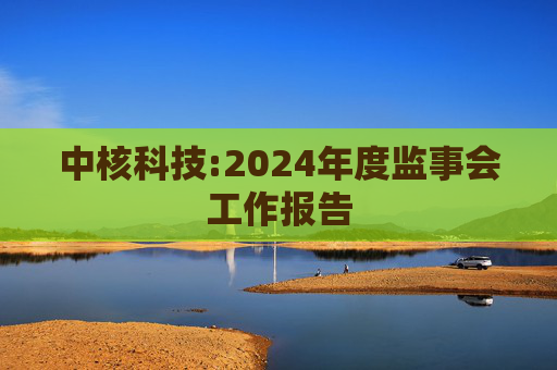 中核科技:2024年度监事会工作报告