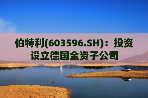 伯特利(603596.SH)：投资设立德国全资子公司