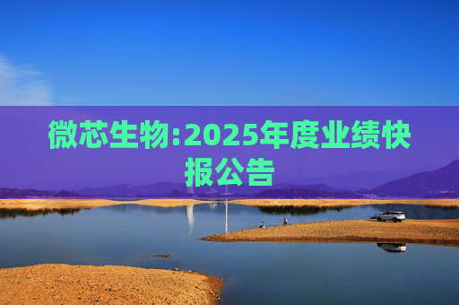 微芯生物:2025年度业绩快报公告