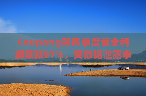 Coupang第四季度营业利润暴跌97%，受数据泄露事件影响