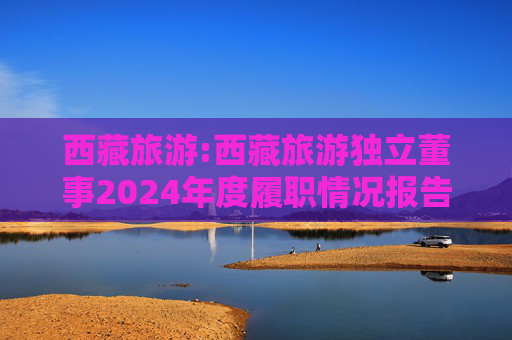 西藏旅游:西藏旅游独立董事2024年度履职情况报告(高金波)