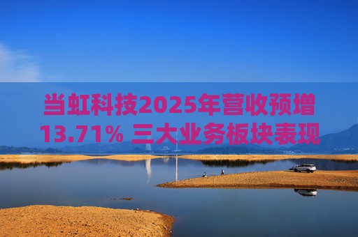 当虹科技2025年营收预增13.71% 三大业务板块表现亮眼  第1张