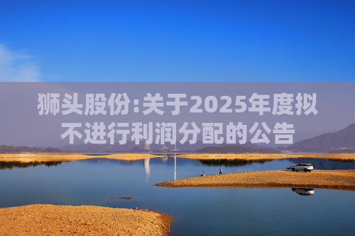 狮头股份:关于2025年度拟不进行利润分配的公告