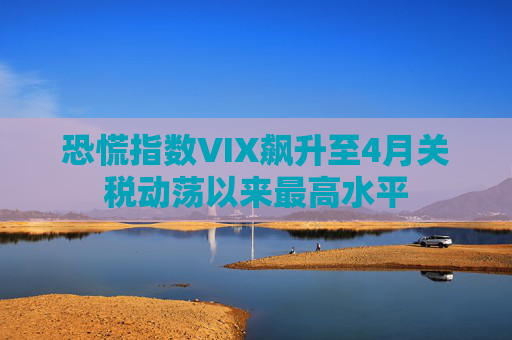 恐慌指数VIX飙升至4月关税动荡以来最高水平