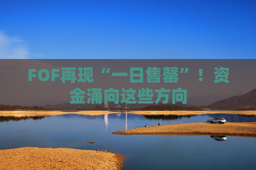FOF再现“一日售罄”！资金涌向这些方向