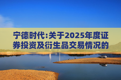 宁德时代:关于2025年度证券投资及衍生品交易情况的专项说明
