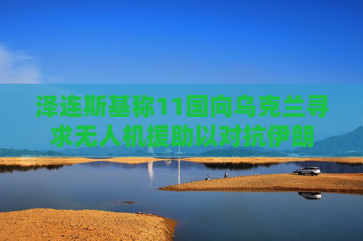 泽连斯基称11国向乌克兰寻求无人机援助以对抗伊朗