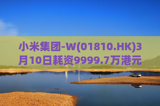 小米集团-W(01810.HK)3月10日耗资9999.7万港元回购297.7万股