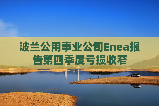 波兰公用事业公司Enea报告第四季度亏损收窄