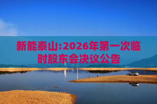 新能泰山:2026年第一次临时股东会决议公告  第1张