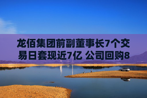 龙佰集团前副董事长7个交易日套现近7亿 公司回购8个月仅花2548万元！股吧投资者质疑“公司就不想回购”