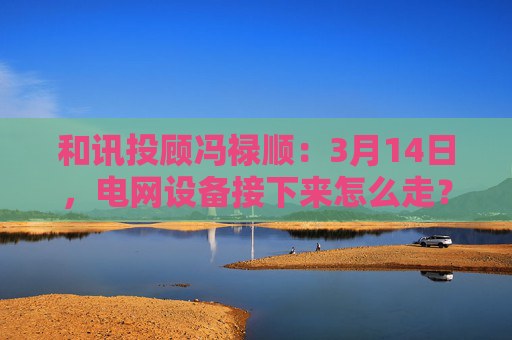 和讯投顾冯禄顺：3月14日，电网设备接下来怎么走？