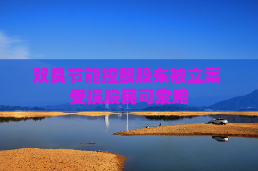 双良节能控股股东被立案 受损股民可索赔
