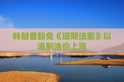 特朗普豁免《琼斯法案》以遏制油价上涨