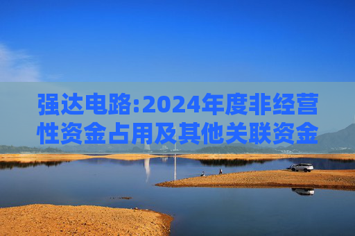 强达电路:2024年度非经营性资金占用及其他关联资金往来情况汇总表  第1张