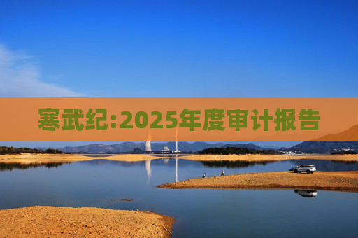 寒武纪:2025年度审计报告