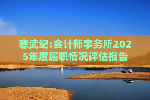 寒武纪:会计师事务所2025年度履职情况评估报告