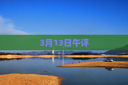 3月13日午评